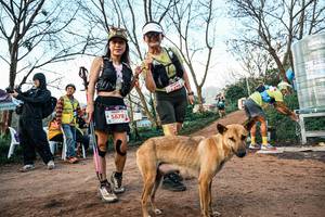 BIB: 
                            <button type="button" onclick="openModal(25457973)" class="btn btn-primary btn-sm float-right btn-popup" data-toggle="modal" data-target=".modal-high-quality">
                        <i class="fas fa-shopping-cart"></i> Add to Cart
                    </button>
                                            <button type="button" onclick="isThisMe(25457973, true)" class="btn btn-success btn-sm float-right btn-popup btn-isme hidden" data-toggle="tooltip" data-placement="bottom" title="นี่คือรูปของคุณใช่ไหม คลิกที่นี่เพื่อเอาเข้าอัลบั้ม">
                        <i class="fas fa-plus"></i> Add to album
                    </button>
                    <button type="button" onclick="isThisMe(25457973, false)" class="btn btn-warning btn-sm float-right btn-popup btn-isnotme hidden">
                        <i class="fas fa-ban"></i> Remove from album
                    </button>